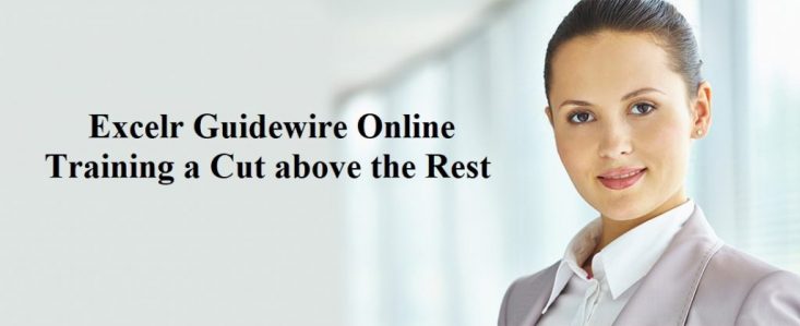 Excelr Guidewire Online Training a Cut above the Rest