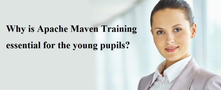 Why is Apache Maven Training essential for the young pupils?