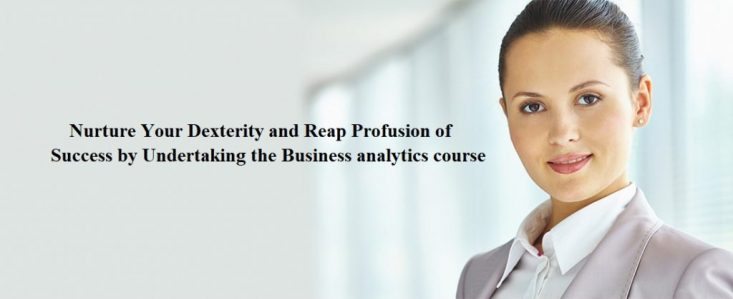 Nurture Your Dexterity and Reap Profusion of Success by Undertaking the Business analytics course